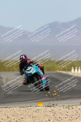 media/Apr-13-2024-SoCal Trackdays (Sat) [[f1617382bd]]/12-Turn 11 Braking Zone (210pm)/